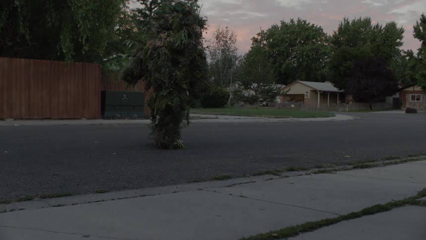 A plant creature walks on a residential street