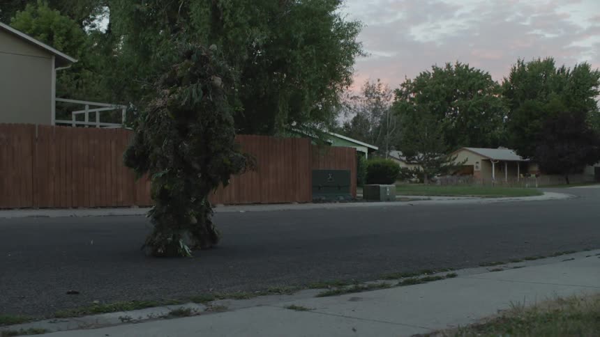 A plant creature walks on a residential street