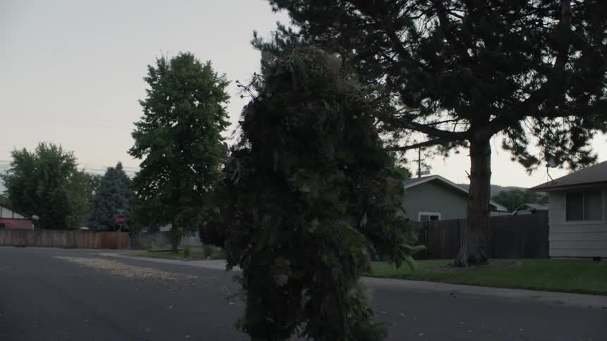 A plant creature walks on a residential street