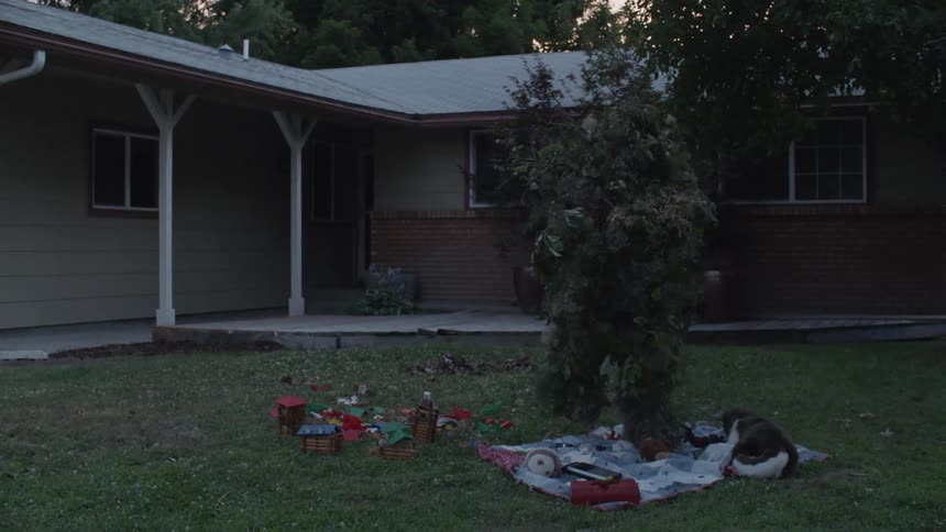 A person wearing leaves as camouflage walks in the yard