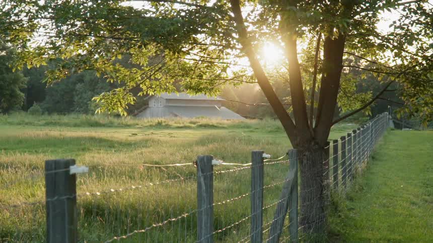 Wire fence separating two green fields