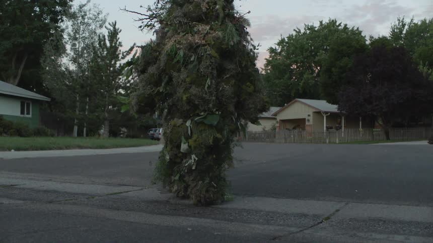 A person camouflaged in plants is walking in a suburban neighborhood in the morning