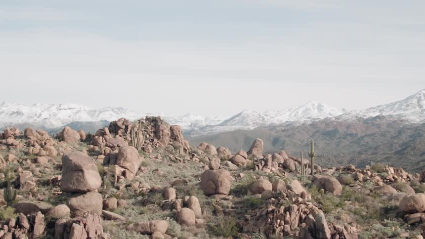 Cactus are growing on the hills of a desert below a mountain range in daylight