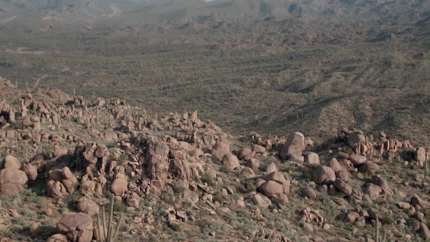 Cactus rocks and boulders on a desert hill