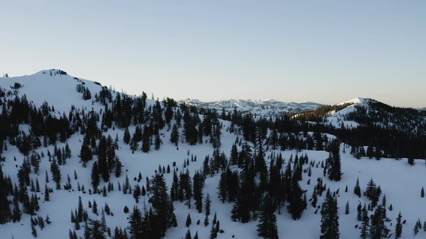Pine trees cover a snowy mountain reveal at dusk