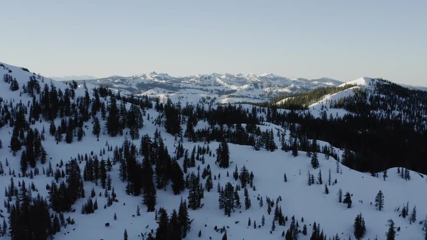 Pine trees cover snowy mountains