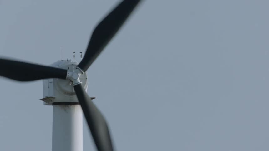 Birds fly past rotating windmill