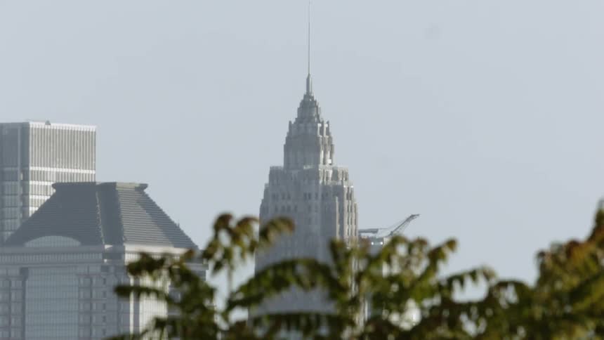 Tree blows gently in the breeze under a blue sky