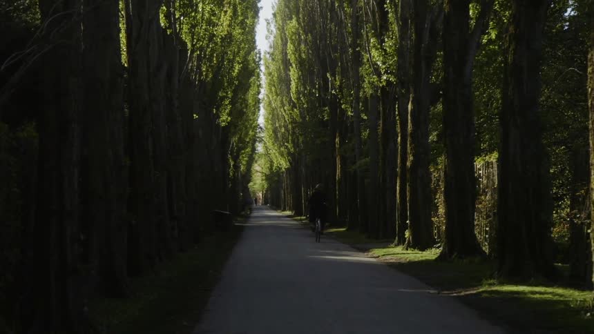 A person rides a bike down a narrow road