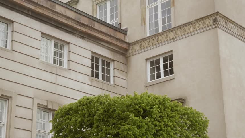 A tree blows in the breeze in front of a building