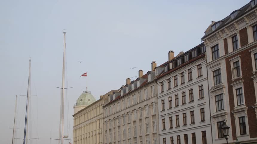 Birds fly by a city building