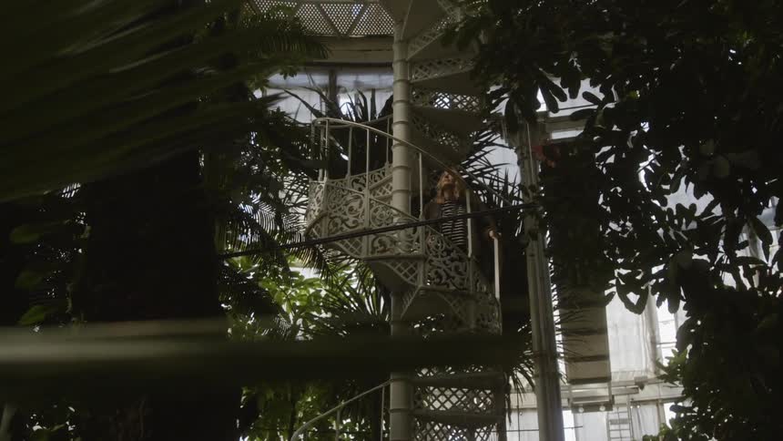 A person walks up a curved staircase through plants in an atrium