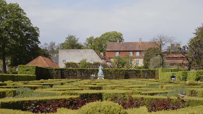 Numerous hedges sit in front of some buildings