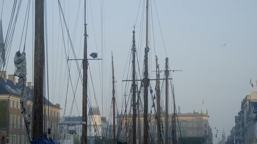 The birds fly over the boats by the city