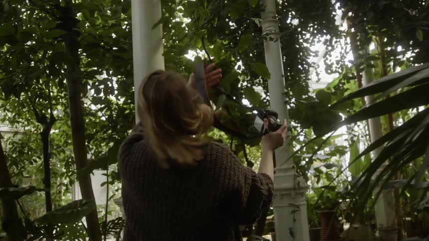 The woman removes her camera in the forest