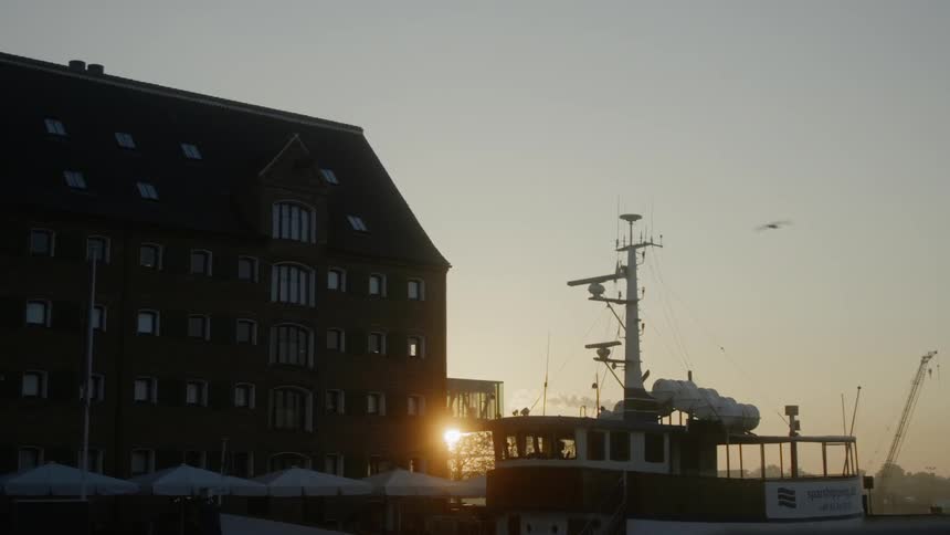 The bird flies past the building as the sun sets