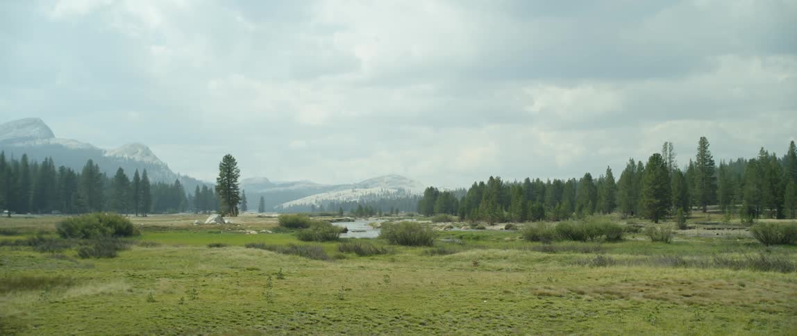 Large grassy field with trees and hills in the background