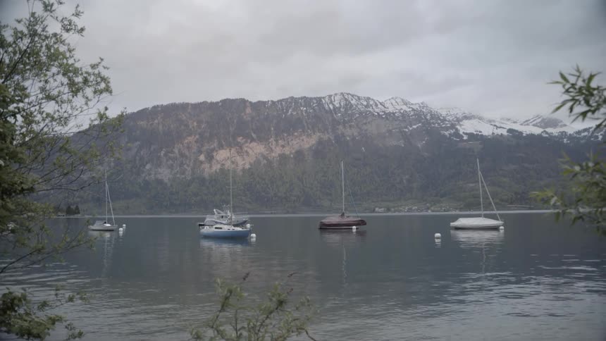 The boats are all anchored near the shore