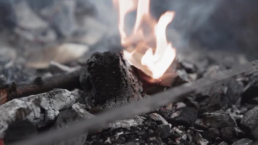 Pages from a book are dropped into the flame