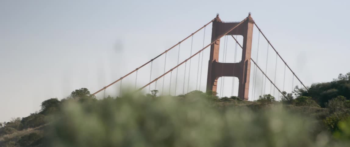 A gentle breeze blows the bushes near a bridge