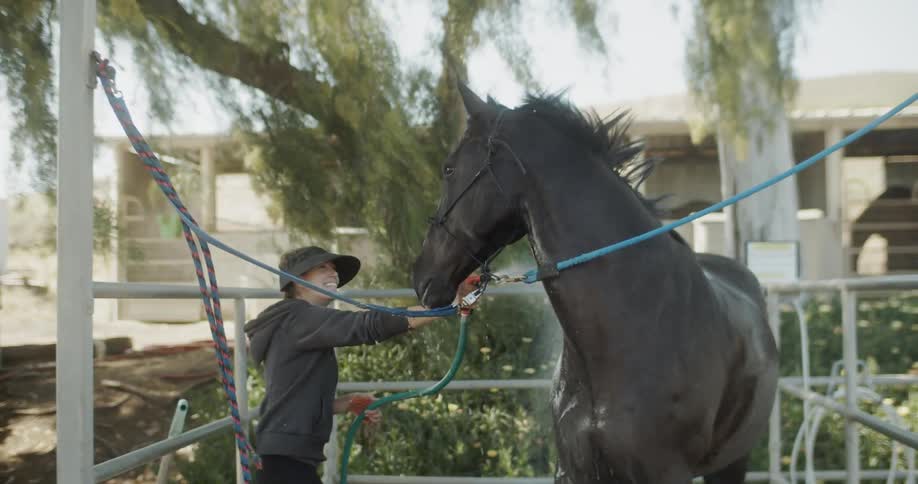 A woman hoses off a horse