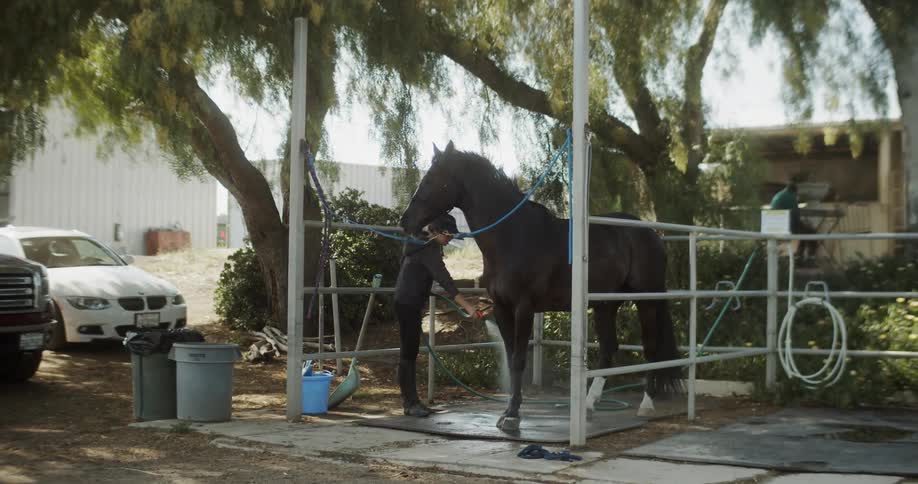 A woman hoses off a horse