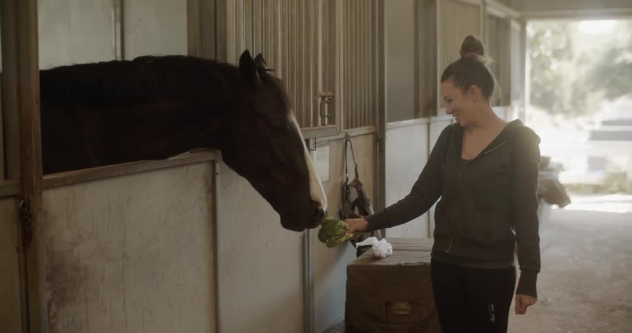 Woman feeds broccoli to a horse in a barn