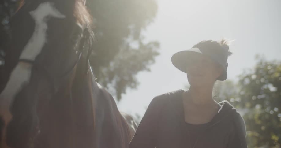 Woman walks with a horse on a sunny day