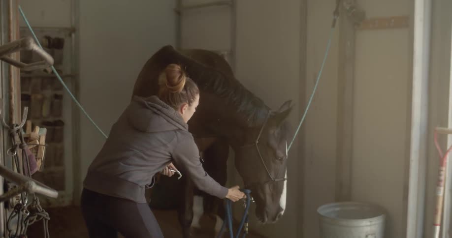 A woman pets a horse in a stable