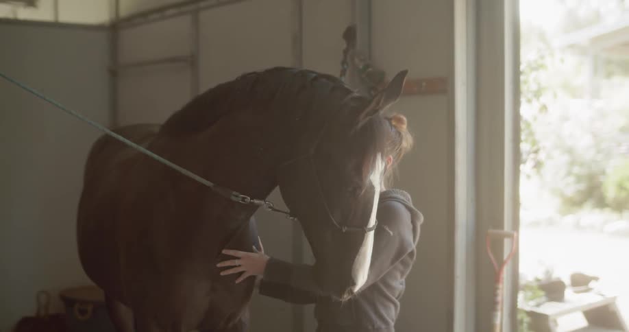 A woman pets her horse in the stable