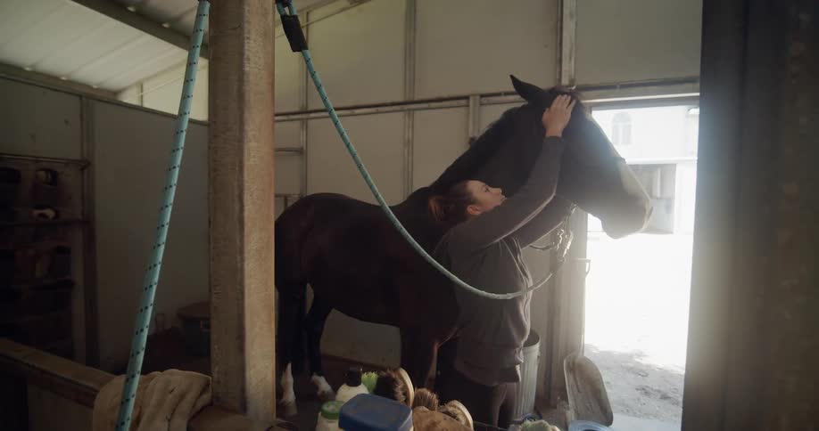 A woman reaches up and pets a horse's ears and face