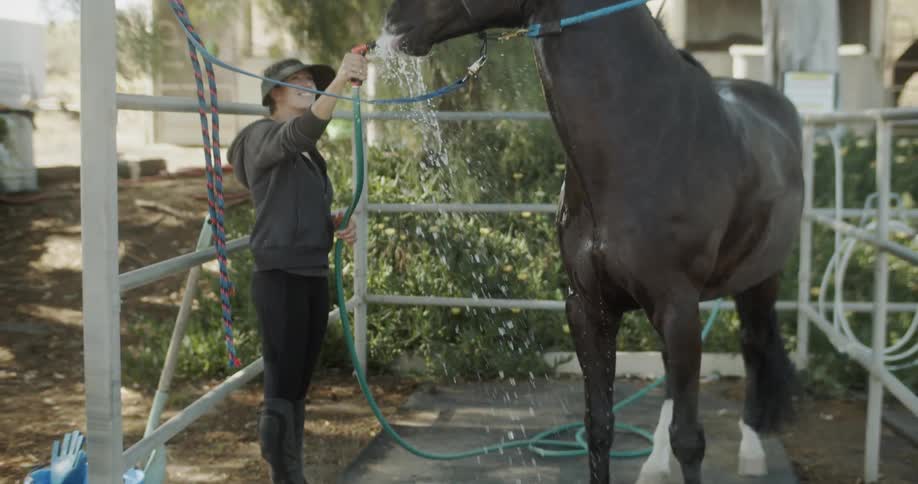 A woman hoses off a horse