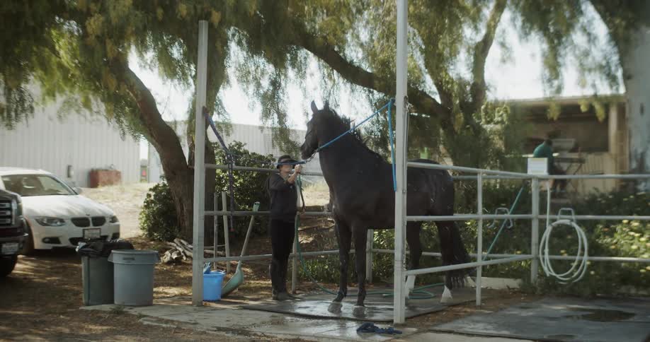 A woman hoses off a horse tied to an outdoor stall