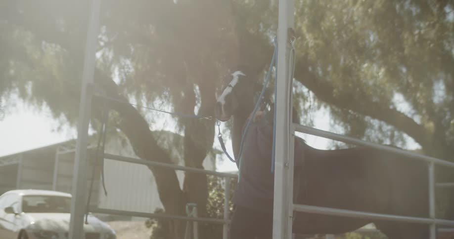 Woman washes a horse on a ranch