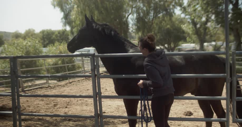 Woman pets a horse on a ranch