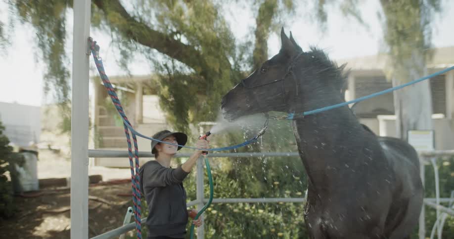 A woman is spraying a horse with water