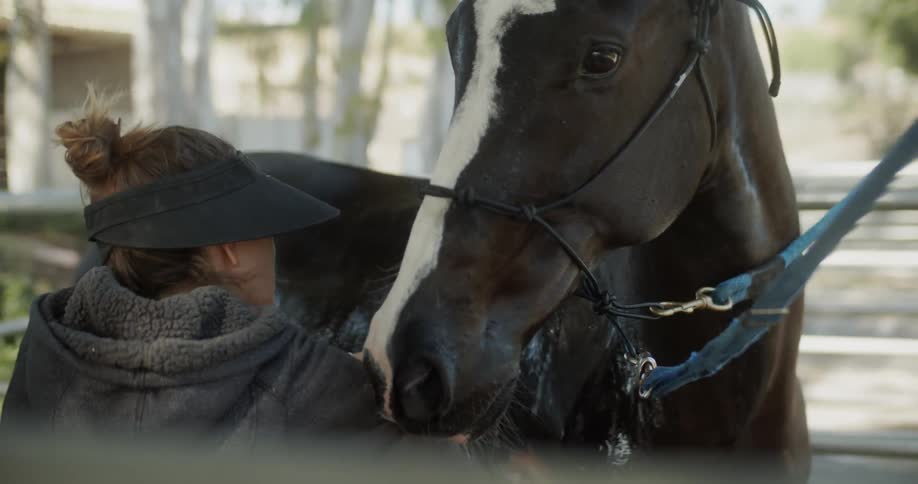 A woman hoses off a horse tied up outside