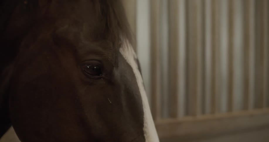 The horse nods its head up and down