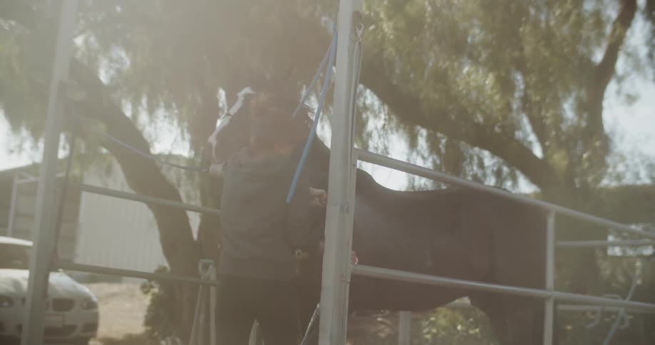 Woman washes a horse on a ranch