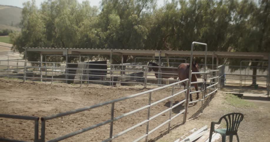A horse is running around behind the fence
