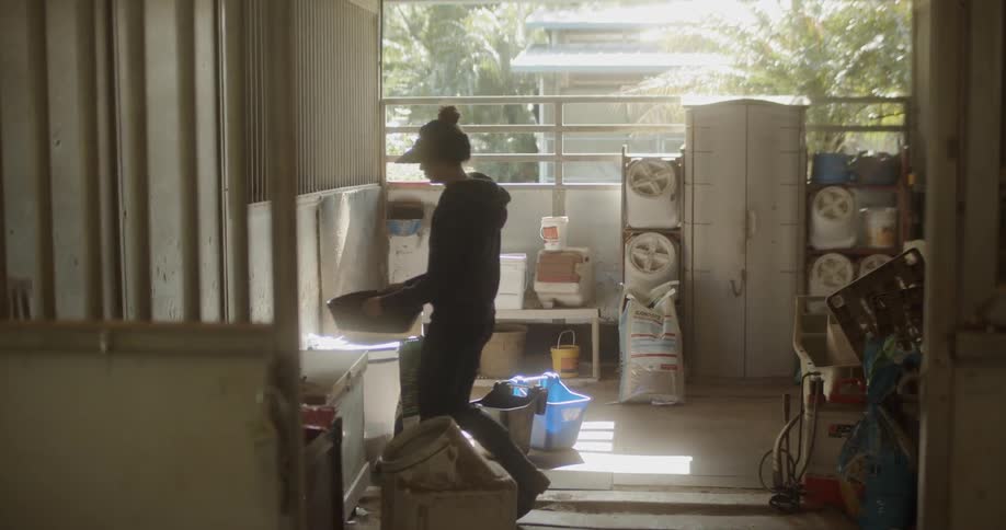 Woman works on a ranch