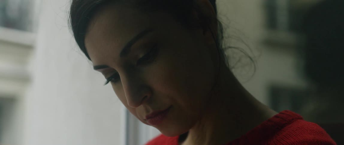 A woman is looks up from her book out the window