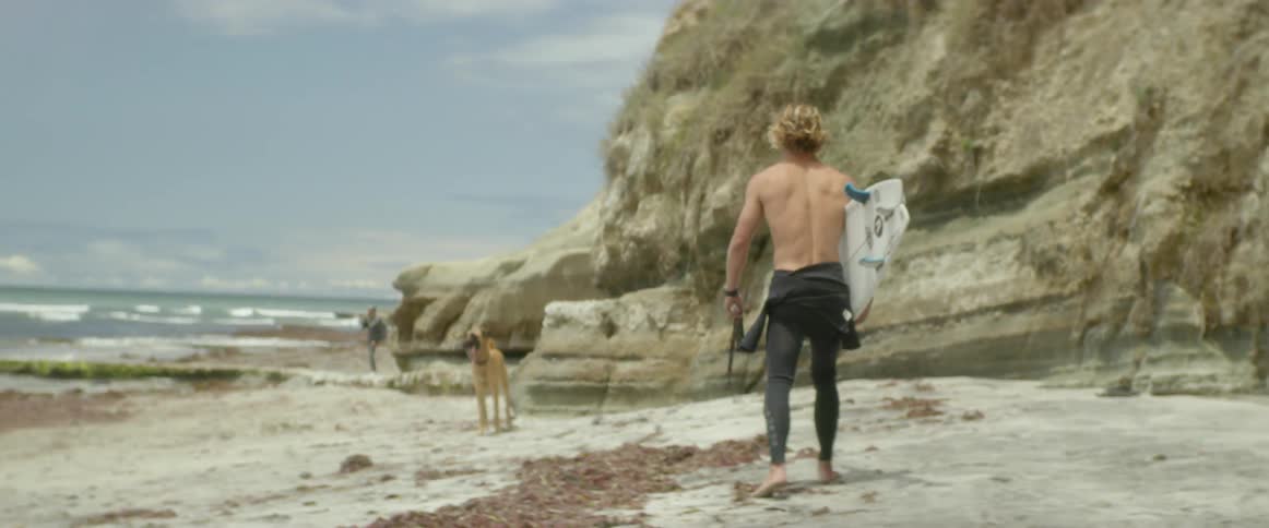 A man plays with his dog on the beach