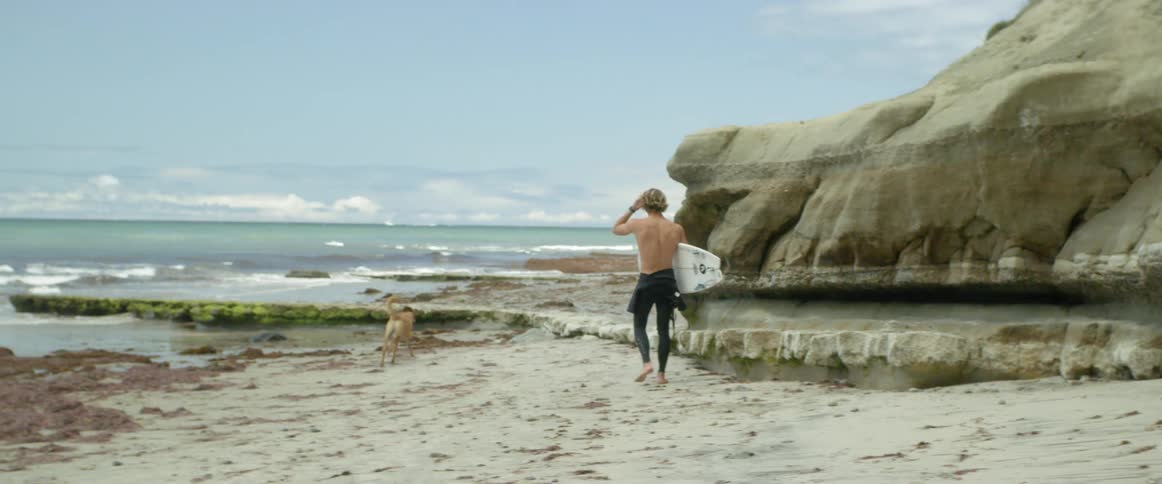 A surfer and dog walk on a beach