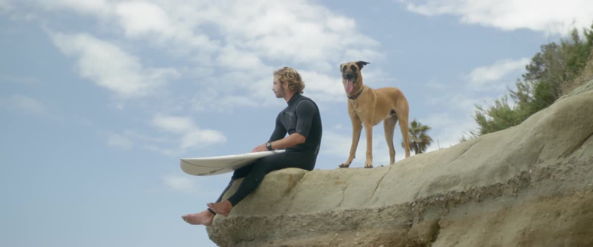 A man sits on the cliff with his dog carrying a surfboard