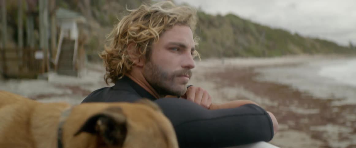 Man leans on a railing and looks out at the ocean as a dog walks nearby