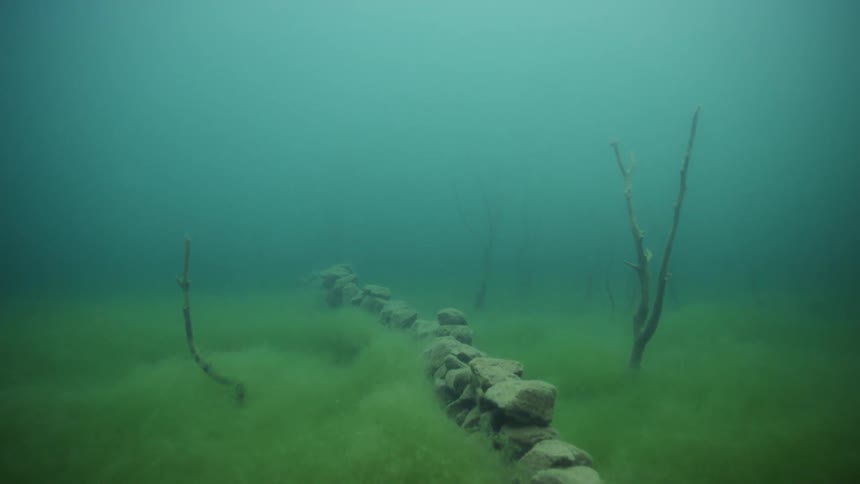 Seaweed and rocks sit on the ocean floor