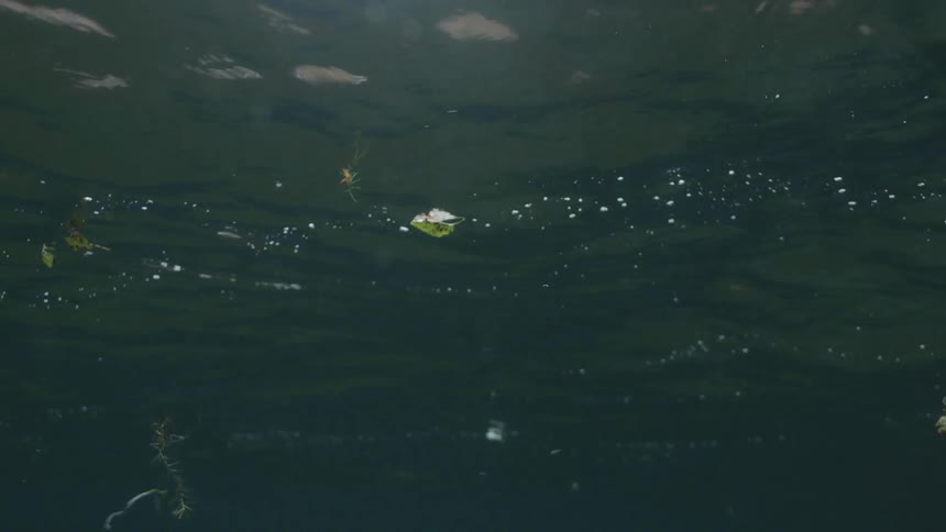 The water is calm with the sun shining below