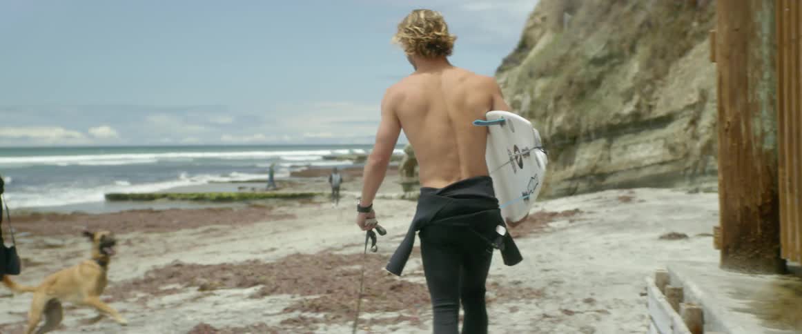 A man walks with his dog on the beach carrying a surfboard