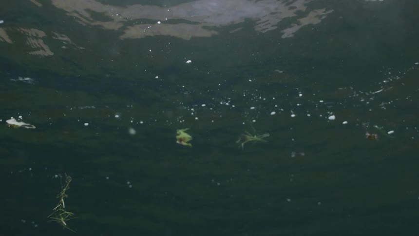 The sun is reflecting off the top of the water